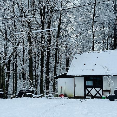 Romantyczna Chatka Pisarzowice  Bagian luar foto