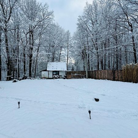 Romantyczna Chatka Pisarzowice  Bagian luar foto