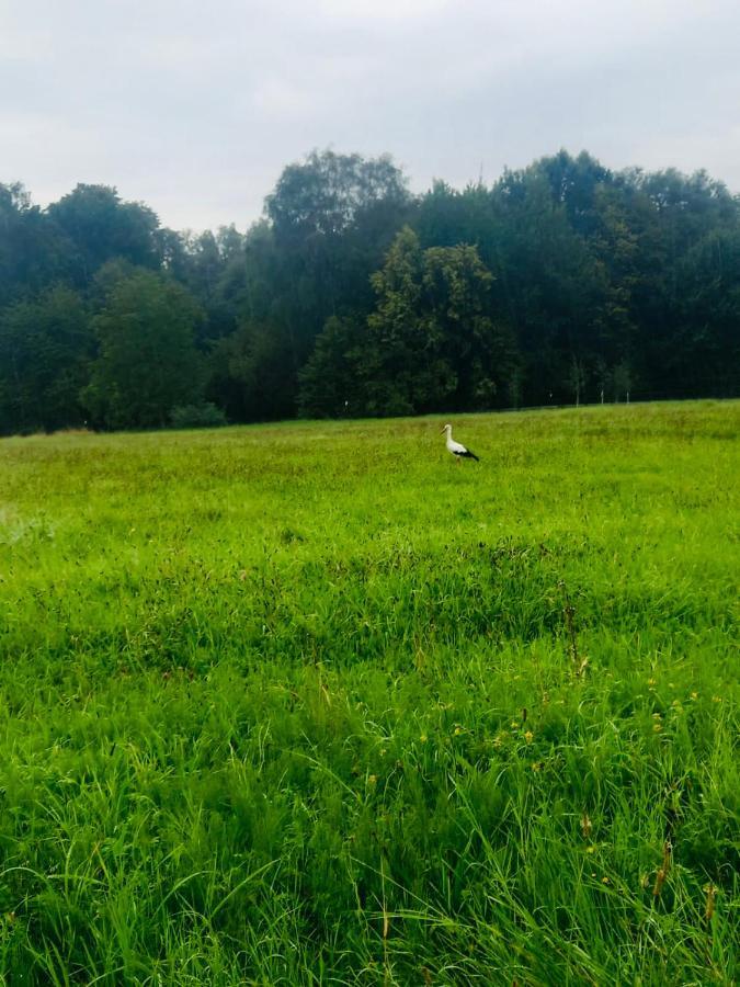 Romantyczna Chatka Pisarzowice  Bagian luar foto