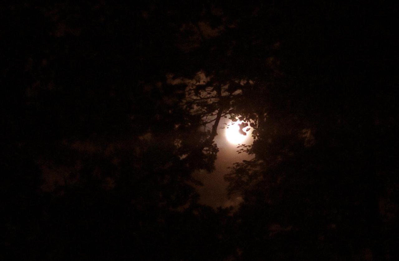 Romantyczna Chatka Pisarzowice  Bagian luar foto