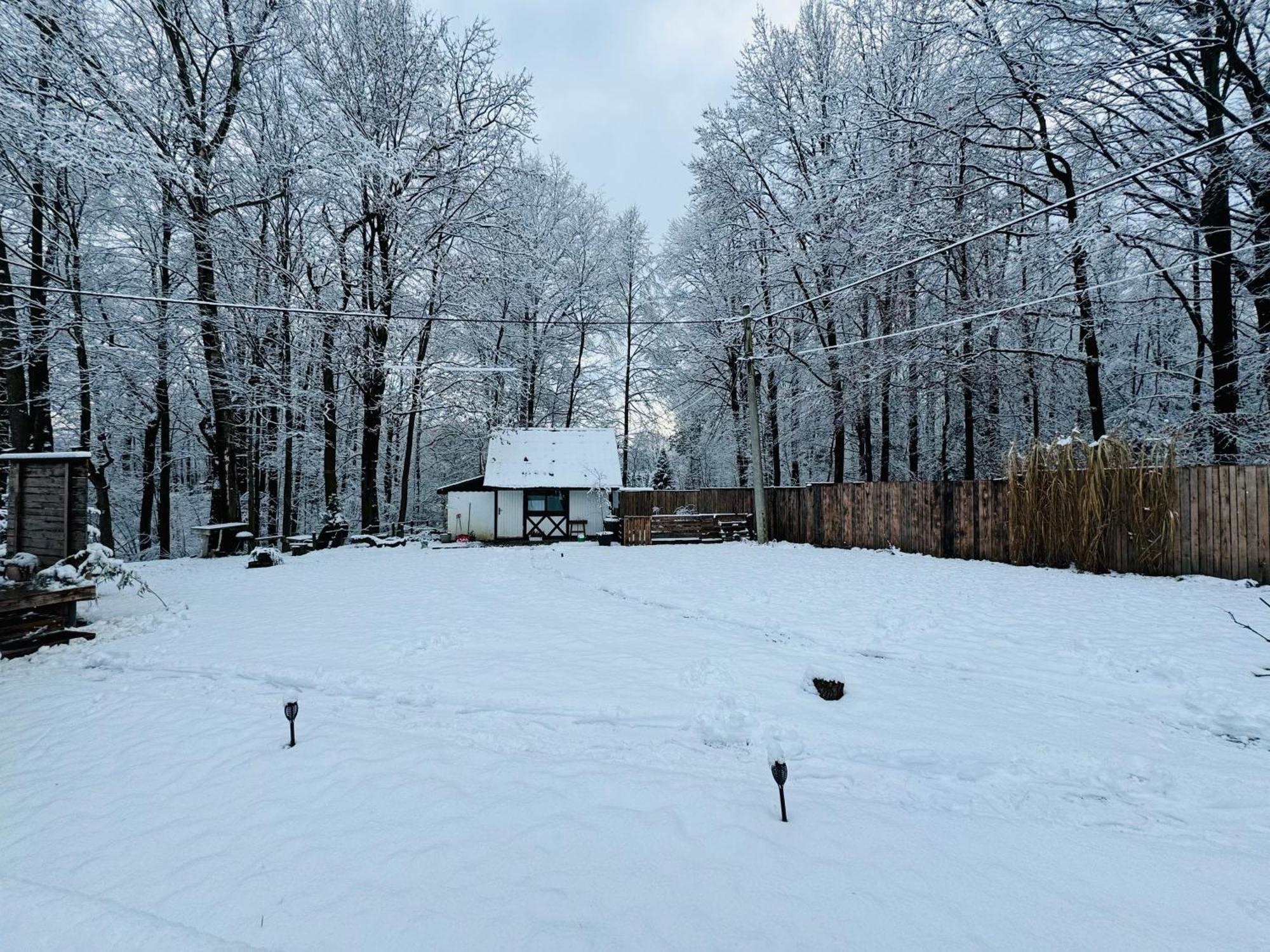 Romantyczna Chatka Pisarzowice  Bagian luar foto