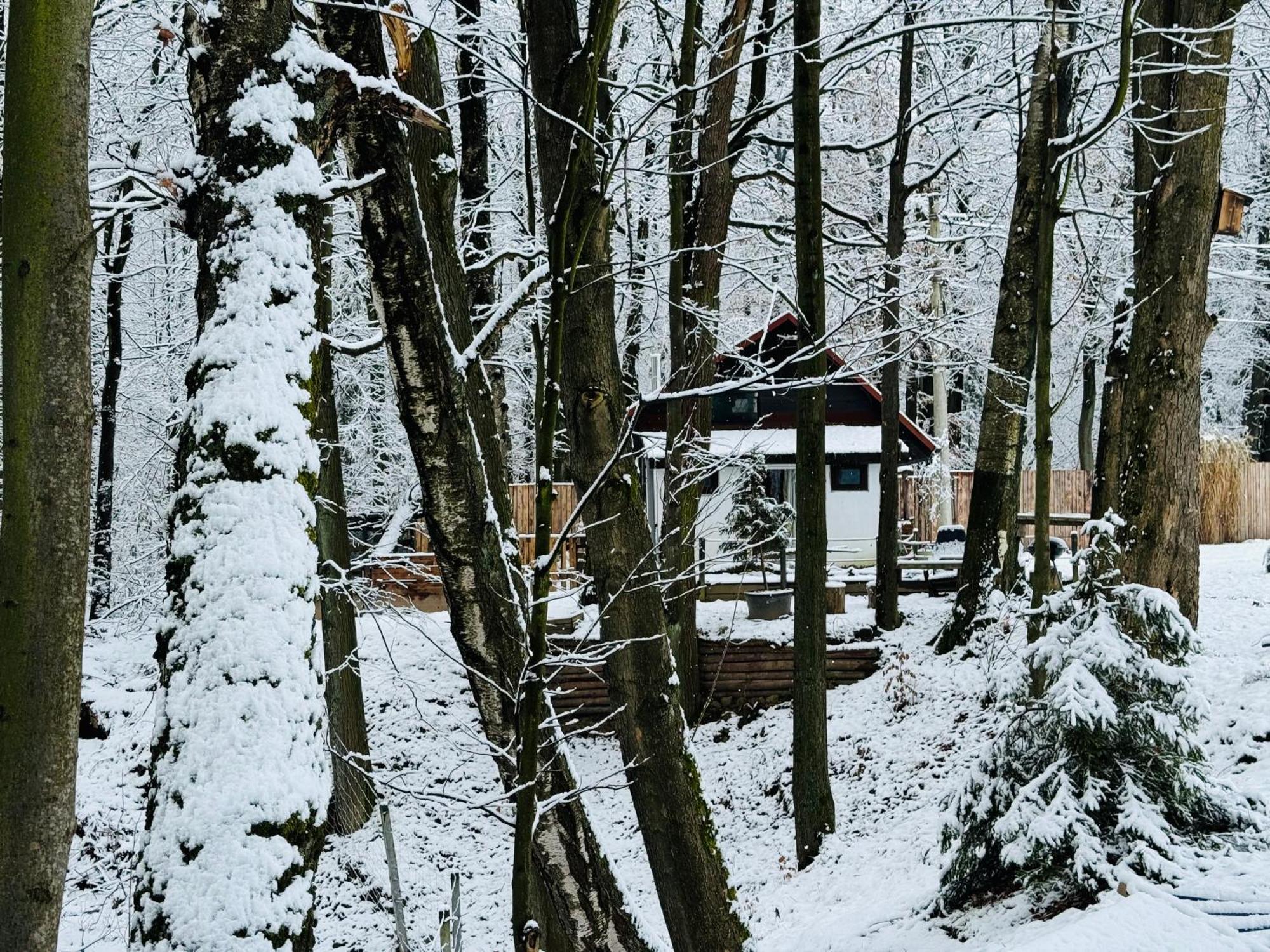 Romantyczna Chatka Pisarzowice  Bagian luar foto